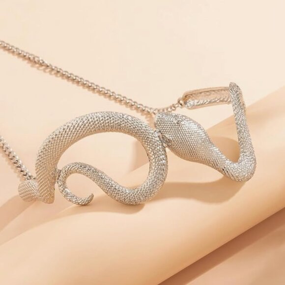 NEW! Zara Silver Snake Choker - Picture 5 of 5